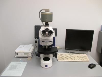 Fluorescence Microscope w/camera