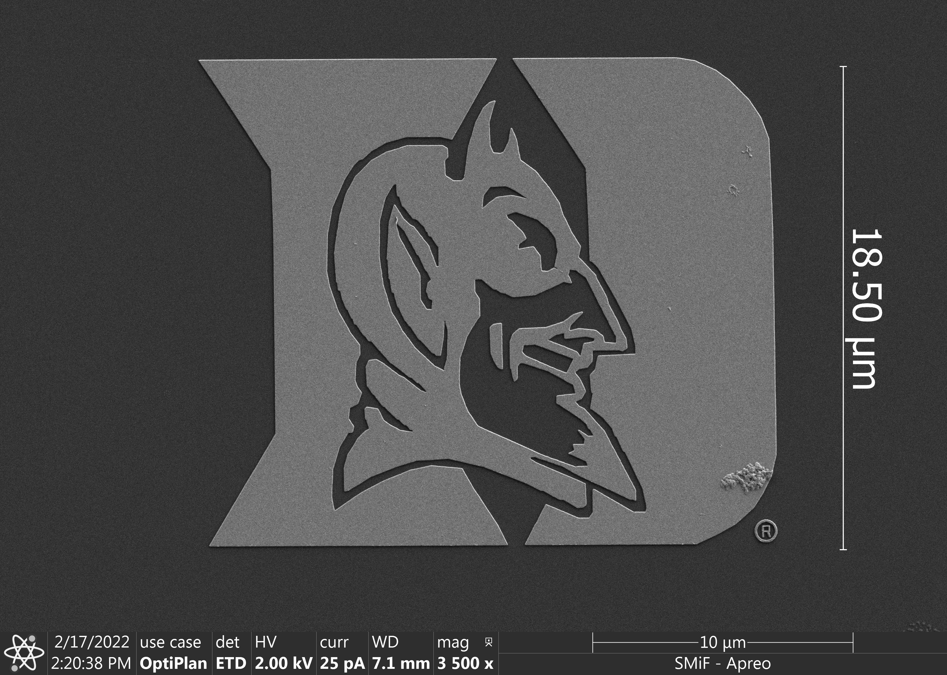 Duke logo SEM image