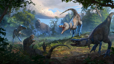 An illustration portrays a Nanotyrannus attack on a juvenile T. rex. (Anthony Hutchings)
